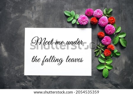 Festive flower composition on a concrete background. Blank sheet of paper. Text Meet me under the falling leaves. Top view