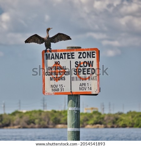 A commorant with its wings spread on top of a manatee zone warning sign in Tampa Bay.