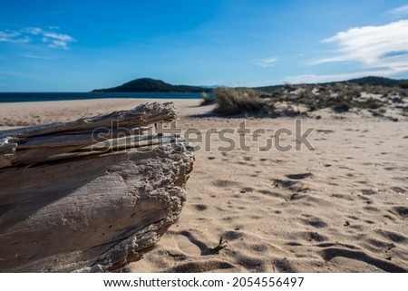 A picture of the beautiful beach of Liscia Ruja in Sardinia