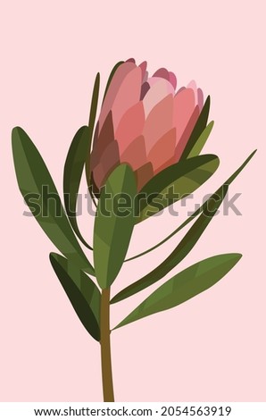 Delicate plant with a bud. Vector flat illustration of a flower. A modern illustration of flora in soothing colors. Design for cards, posters, menus, templates, textiles, backgrounds, banners.