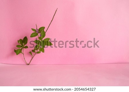 minimalist concept idea. green leaves on pink background
