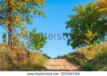 Autumn landscape deciduous forest Autumn is a fantastic time of the year. Texture colors and soft light create an amazing palette for eye-catching photos Get the most out of the colorful season