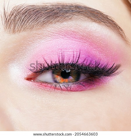Closeup macro shot of human female eye. Woman with natural evening vogue face beauty makeup. Girl with perfect skin and pink eyes shadows. Royalty-Free Stock Photo #2054663603