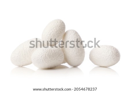 white silkworm cocoons on white background. Royalty-Free Stock Photo #2054678237