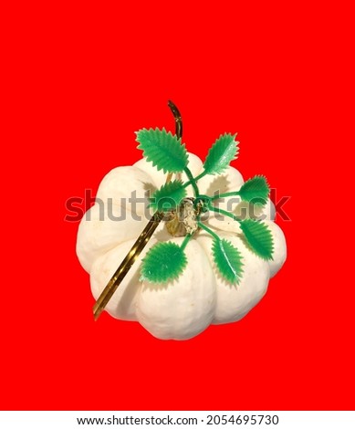 photo pumpkin on a white background, isolate