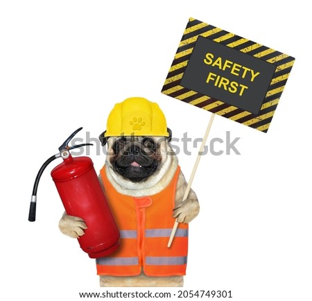 A dog pug in a construction helmet holds a fire extinguisher and a poster that says safety first. White background. Isolated.