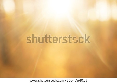 Beautiful bokeh of light shining through the tree. yellow or golden trees. sun rays. blurred defocused image. autumn season Royalty-Free Stock Photo #2054764013