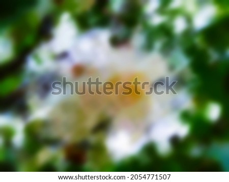 Natural green, white and yellow color combination bokeh used for abstract background