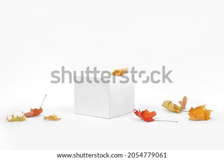 Mockup podium for product presentation. Abstract geometry
 background with autumn fall yellow,red, orange leaves and product podium.   