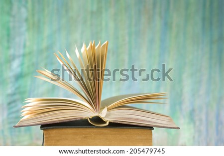 opened book close up, selective focus, free copy space