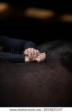 fine art horse photo detail