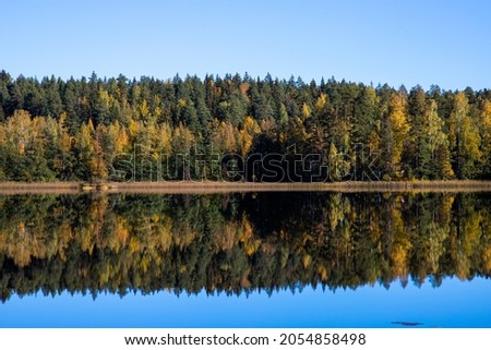 Beautiful scenery of forest lake with reflection coming out of the water. Photo taken in Finland.