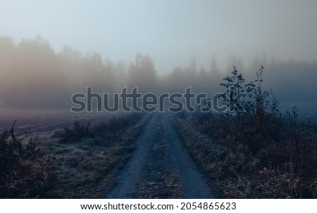 A misty, spooky autumn morning in Southern Finland