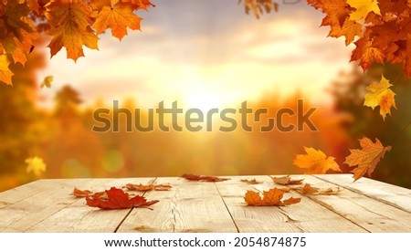 Autumn maple leaves on wooden  table.Falling leaves natural background.Sunny autumn day with beautiful orange fall foliage in the park.