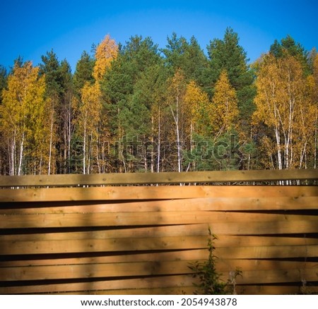 Autumn forest. Banner. Wooden background.