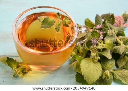 Mint tea in a glass cup on a light blue background.Healthy drink,
diet,alternative therapy or herbal medicine concept.Selective soft focus.