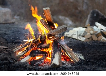 Red flames of teepee campfire on dark ground at campsite in wild at overcast, closeup bonfire with firewood on backdrop, autumn relax camping mood, low angle Royalty-Free Stock Photo #2054963246