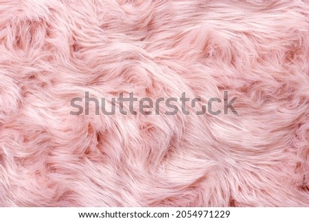 Pink fur texture top view. Pink sheepskin background. Fur pattern. Texture of pink shaggy fur. Wool texture. Sheep fur close up Royalty-Free Stock Photo #2054971229