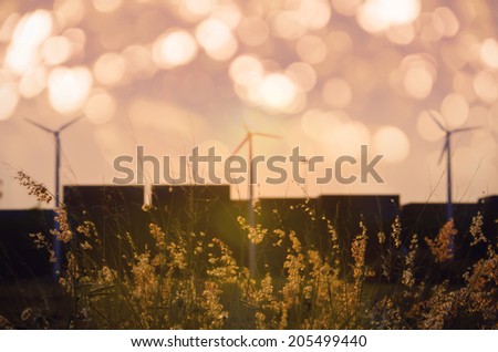 Romantic scene flowers and wind turbine silhouettes in sunset