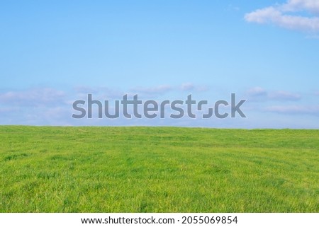 An empty green field against a blue sky with a slight cloud cover. Royalty-Free Stock Photo #2055069854