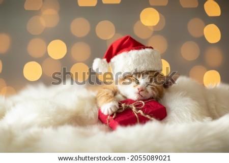 red kitten in Santa Claus hat sleeping with a gift