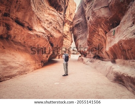 Tourist  walking alone through the red rock walls of the main road  in the ancient city of Petra, Jordan called Al Siq,