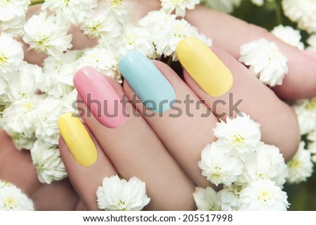 	  Pastel manicure on female hand with flower Hipsofilas. Royalty-Free Stock Photo #205517998