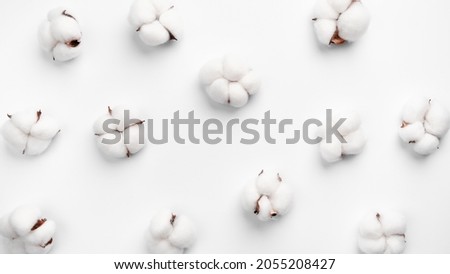Cotton flower pattern on white background
