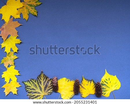 Composition of dry autumn leaves on a blue, uniform background. There is free space for inserts.