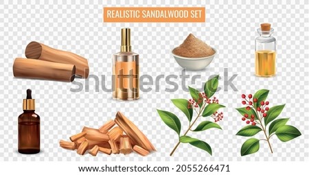 Realistic set with sandalwood essential oil perfume powder sticks plant twigs isolated on transparent background vector illustration Royalty-Free Stock Photo #2055266471