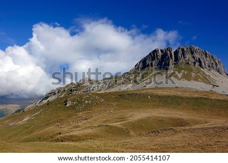  Mount Castellaz, trekking of the Thinking Christ, peak of the Dolomites in Italian Alps, UNESCO world heritage site in Trentino Alto Adige, Passo Rolle, Italy, Europe                              