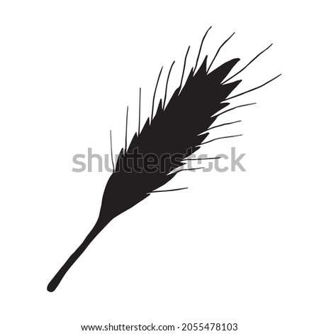 Vector hand drawn wheat spica silhouette isolated on white background