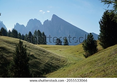 idyllic scenery: Beautiful hills and meadow on famous alpe di siusi in the dolomites, south tyrol, italy. View to distinctive sasso piatto, Langkofel Mountain. Travel and holiday concept.