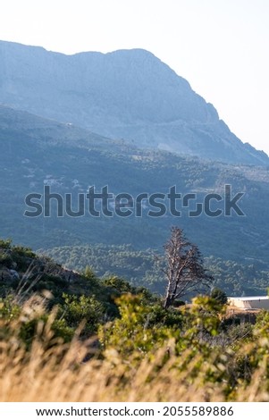 View of Biokovo mountains near the Makarska city, Croatia.