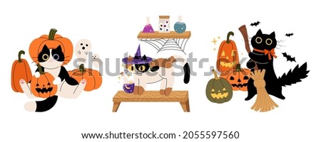 A cat in a Halloween costume. Halloween concept cute vector illustration.
