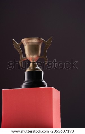 Close up trophy on the black background