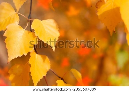 Autumn landscape photography. Autumn nature background.
