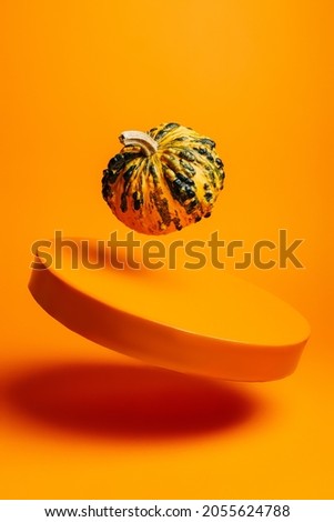 Creative Fall layout made of pumpkins on orange background. Scene stage showcase, product, promotion, sale or advertisement. Minimal Autumn, Halloween or Thanksgiving season concept. Vegetable food.