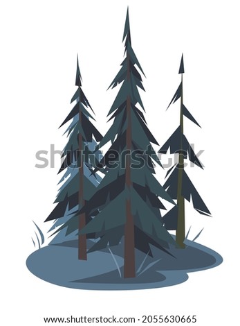 Pine tree. Little night natural landscape. Illustration in cartoon style flat design Isolated on white background. Vector
