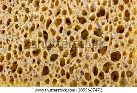 colored sponge detail texture, sponge texture background