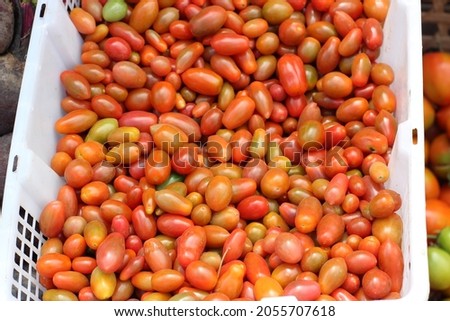 close up of a collection of tomatoes for sale in a traditional market .