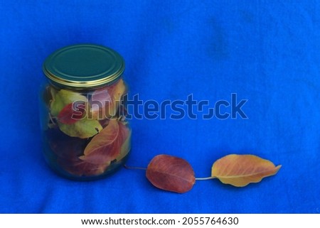Autumn leaves in jars on a blue background. Preservation. Saving memories.