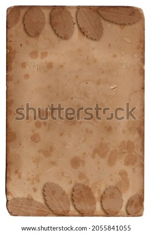 Old vintage rough paper with plant relief texture isolated on white