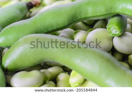 closeup of broad bean - background, texture - stock photo