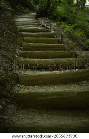 Wooden stairway in forest, vertical picture