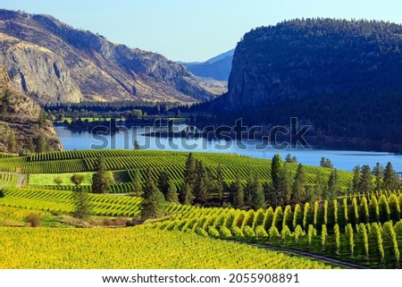 View of Blue Mountain Vineyard with McIntyre Bluff and Vaseux Lake in the background located in the Okanagan Valley in Okanagan Falls, British Columbia, Canada. Royalty-Free Stock Photo #2055908891