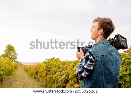 Portrait of a young worker man with basket full of freshly picked up wine grapes, harvesting on the vineyard during the evening.