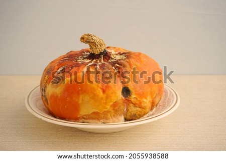 Closeup picture of a spoiled pumpkin.   Fungus on autumn vegetables.
