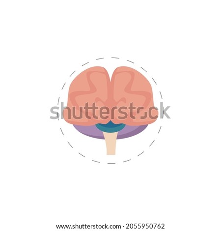 brain isolated illustration. brain flat icon on white background. brain clipart.