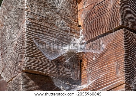Large spider web on a wooden wall. Royalty-Free Stock Photo #2055960845